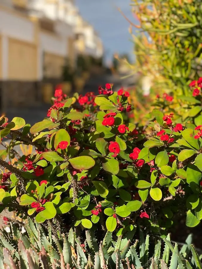 Cozy Apartment Wi-Fi Gratis Costa Adeje  Espagne