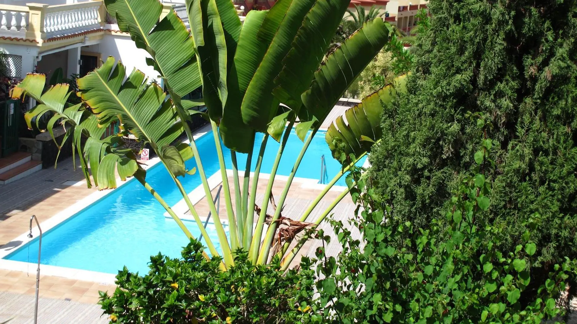 Cozy Apartment Wi-Fi Gratis Costa Adeje  0*, Costa Adeje (Tenerife) Spanje