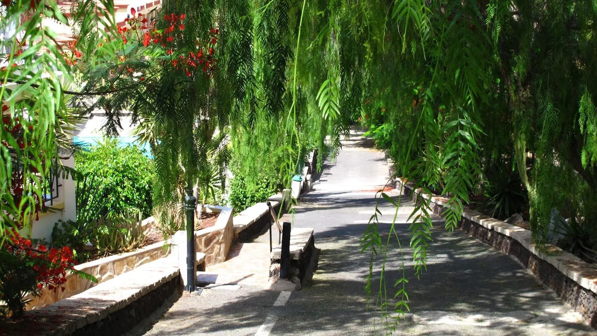 Windsor Park Lejlighed Costa Adeje   Costa Adeje (Tenerife)
